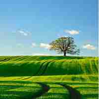 渗‍透﻿测﻿试‍神﻿器​使‌用‌方﻿法​